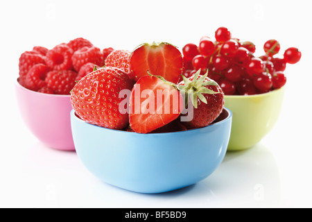 Frutti di bosco, piatti colorati con bacche selvatiche, lamponi, ribes, fragole Foto Stock