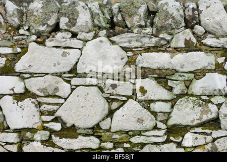 Il Lichen coperti muro di pietra. Islay, Scozia. Foto Stock