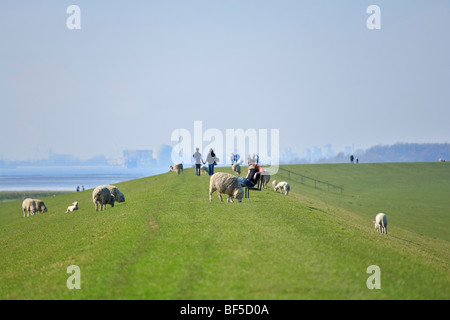 I camminatori e pecora su una diga davanti a Stade centrale nucleare, Haseldorfer Binnenelbe Riserva Naturale, Haseldorfer Marsch, E Foto Stock