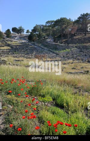 Gli scavi in Kámiros, Rodi, Grecia, Europa Foto Stock