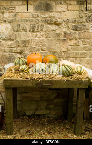 Harvest Festival visualizzazione di zucche e zucche a Painswick Rococo Gardens in Cotswolds Foto Stock