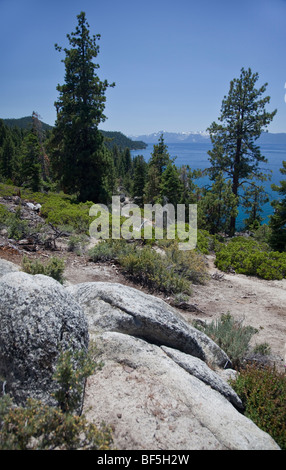 Sierra granito e pini, Lake Tahoe, Nevadap Foto Stock