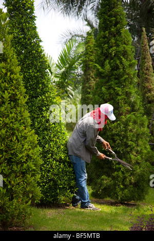 Giardiniere, lavoratori ritaglio di siepi e alberi, forma. Topiaria da albero a Suan Nong Nooch o NongNooch Tropical Botanical Garden Resort, Pattaya, Thailandia Foto Stock