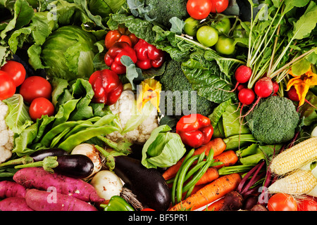 Mazzetto di fresche verdure organiche raccolte dal giardino Foto Stock