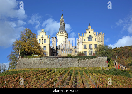 Arenfels castello vicino a Bad Hoenningen Renania Palatinato Germania Europa Foto Stock