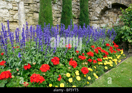 Un letto di fiori in un giardino con fiori viola e un muro di pietra Foto Stock