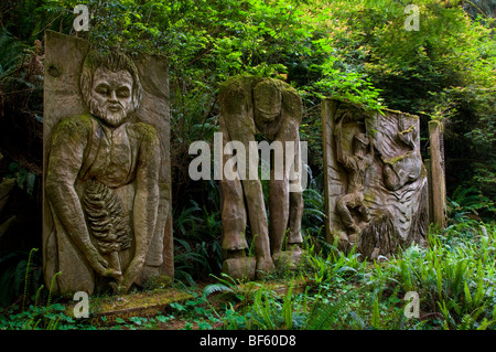 Macinato Redwood acqueforti che mostra la storia di Paul Bunyan, alberi di mistero del Norte County, California Foto Stock