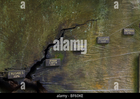 Datata timeline su anelli di albero in albero di sequoia tronco sezione trasversale, alberi di mistero del Norte County, California Foto Stock