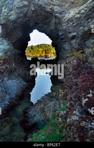 Roccia arcuata con la bassa marea, Trinidad State Beach, Humboldt County, California Foto Stock