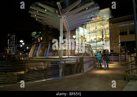 Gli acquirenti di lasciare il mulino di dundrum shopping centre di notte Foto Stock