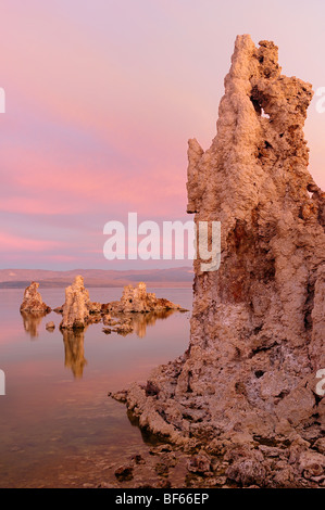 Torri di tufo a sud di tufo, Mono Lake, Orientale Sierras, California, Stati Uniti d'America - Sunrise Foto Stock