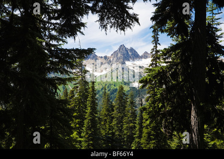 Picco spietato nel North Cascades di Washington come visto dal lago blu sentiero vicino a Washington Pass. Foto Stock