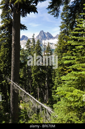 Picco spietato nel North Cascades di Washington come visto dal lago blu sentiero vicino a Washington Pass. Foto Stock