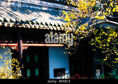 Architettura tradizionale in Ge Yuan, Yangzhou, provincia dello Jiangsu, Cina Foto Stock