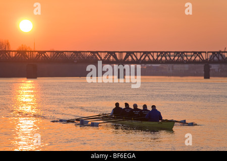 Canotto sul fiume principale, Francoforte Hesse, Germania Foto Stock