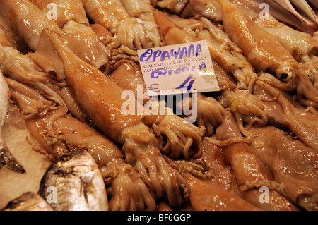 Calamari freschi in vendita nel mercato Modiano nel centro di Salonicco Grecia Foto Stock