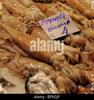 Calamari freschi in vendita nel mercato Modiano nel centro di Salonicco Grecia Foto Stock