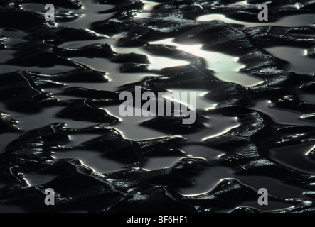 Le velme, isola di Vancouver, British Columbia, Canada, Foto Stock