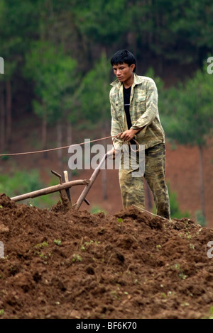 L'agricoltore vietnamita solcando le colline del Vietnam del Nord. Foto Stock