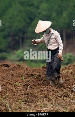 L'agricoltore vietnamita donna nelle colline del Vietnam del Nord. Foto Stock