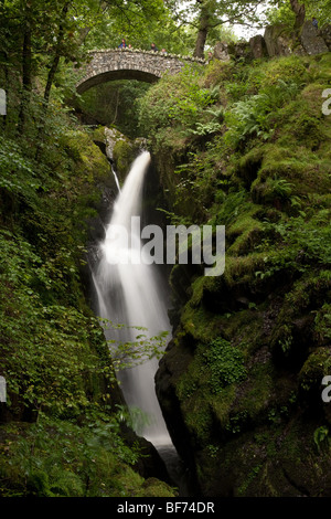 Le cascate di Aira beck al di sopra di Ullswater nel distretto del lago, Cumbria Foto Stock