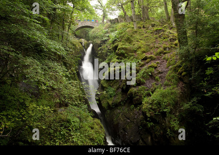 Le cascate di Aira beck al di sopra di Ullswater nel distretto del lago, Cumbria Foto Stock