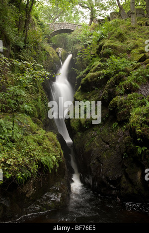 Le cascate di Aira beck al di sopra di Ullswater nel distretto del lago, Cumbria Foto Stock