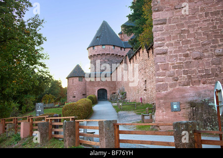 Chateau du Haut Koenigsbourg twilight lungo la Route des vins villaggi, Autunno, Alsace Haut Rhin, Francia 099718 Alsazia Foto Stock