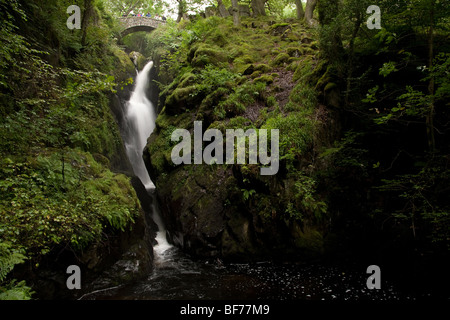 Le cascate di Aira beck al di sopra di Ullswater nel distretto del lago, Cumbria Foto Stock