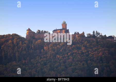 Rorschwihr Haut Koenigsbourg vigneto paesaggio lungo la Route des vins villaggi,l'autunno, Alsace Haut Rhin Francia 099708 Alsazia Foto Stock