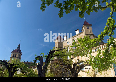 Saint Antoine l'Abbaye (38) Foto Stock