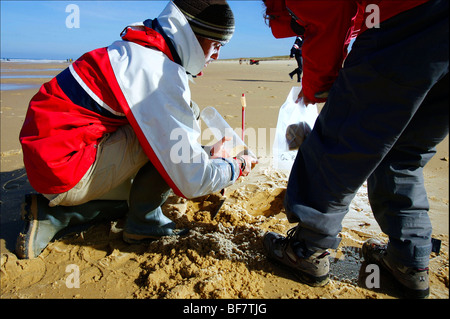 Gli scienziati sulla spiaggia di 'Truc vert' in Lège Cap Ferret (33) Foto Stock