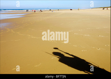 Gli scienziati sulla spiaggia di 'Truc vert' in Lège Cap Ferret (33) Foto Stock