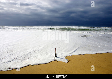 Gli scienziati sulla spiaggia di 'Truc vert' in Lège Cap Ferret (33) Foto Stock