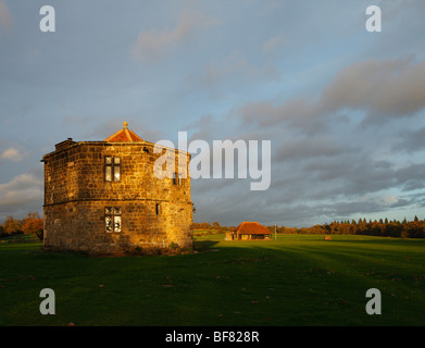 Cowdray Park. Midhurst, West Sussex, in Inghilterra, Regno Unito. Foto Stock