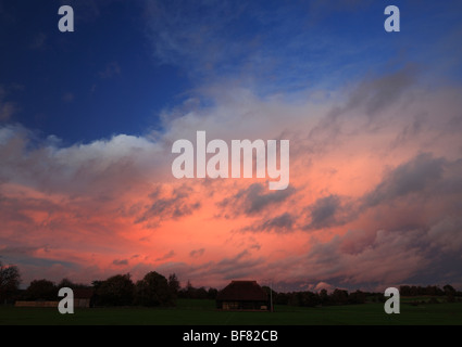 Rosa tramonto. Cowdray Park, Midhurst, West Sussex, in Inghilterra, Regno Unito. Foto Stock