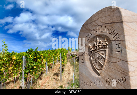 Marcatore di pietra nel Grand Cru vigna di marca parcelle di Domaine Zind-Humbrecht Turckheim Alsace Foto Stock