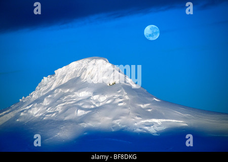 Una montagna vicino a Dorian Bay in Antartide con la luna al di sopra del cielo Foto Stock