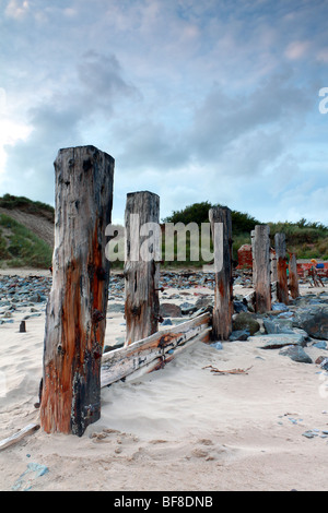 Sea-sistema di difesa sulla North Devon dune di sabbia. Foto Stock