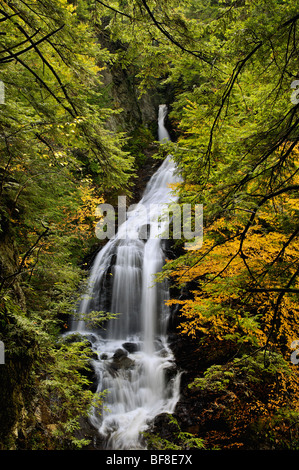 Moss Glen cade nella contea di Lamoille, Vermont Foto Stock