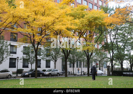 Appartamento edifici circondano un piccolo parco sul Rettore luogo in Battery Park City, un quartiere residenziale di Lower Manhattan. Foto Stock