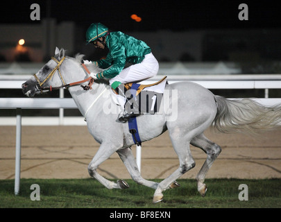 Un pilota spinge per la finitura di post durante la gara incontro al nuovo corso Rayyan in Qatar, Novembre 2009 Foto Stock