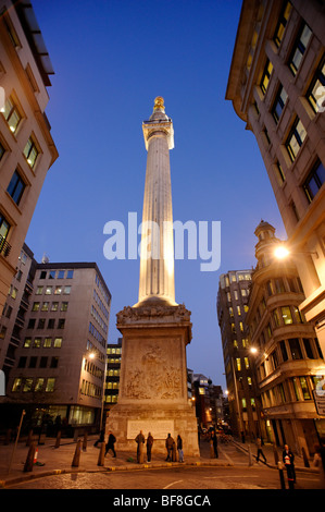 Il monumento al Grande Incendio di Londra. Città di Londra. Regno Unito 2009. Foto Stock