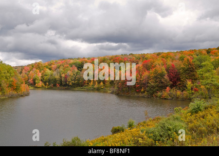 I colori autunnali accanto a un piccolo lago nel Upstate New York Foto Stock