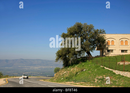 Alture del Golan, alberi di quercia dal luogo di sepoltura dei drusi profeta Nabi Hazuri Foto Stock