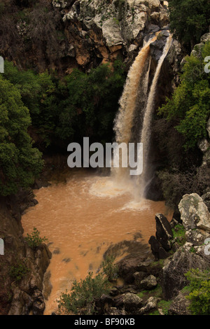 Sa'ar cascata delle alture del Golan Foto Stock