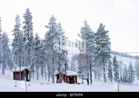 La Lapponia. Foreste di pini del nord. Piccole capanne di legno in varie località. La Finlandia. Foto Stock