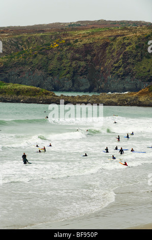 Persone surf in Whitesands bay, Il Pembrokeshire Coast National Park, ottobre pomeriggio, west wales UK Foto Stock