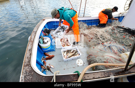 Un pescatore locale ordina attraverso il suo pesce sulla sua barca pronta per il mercato sulla banchina a Teulada, Sud Ovest della Sardegna, Italia Foto Stock