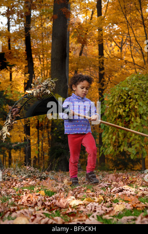 Una ragazza che indossa un colorato turtleneck porta un rastrello grande come lei svolge in foglie di autunno nel suo cortile anteriore erba Foto Stock